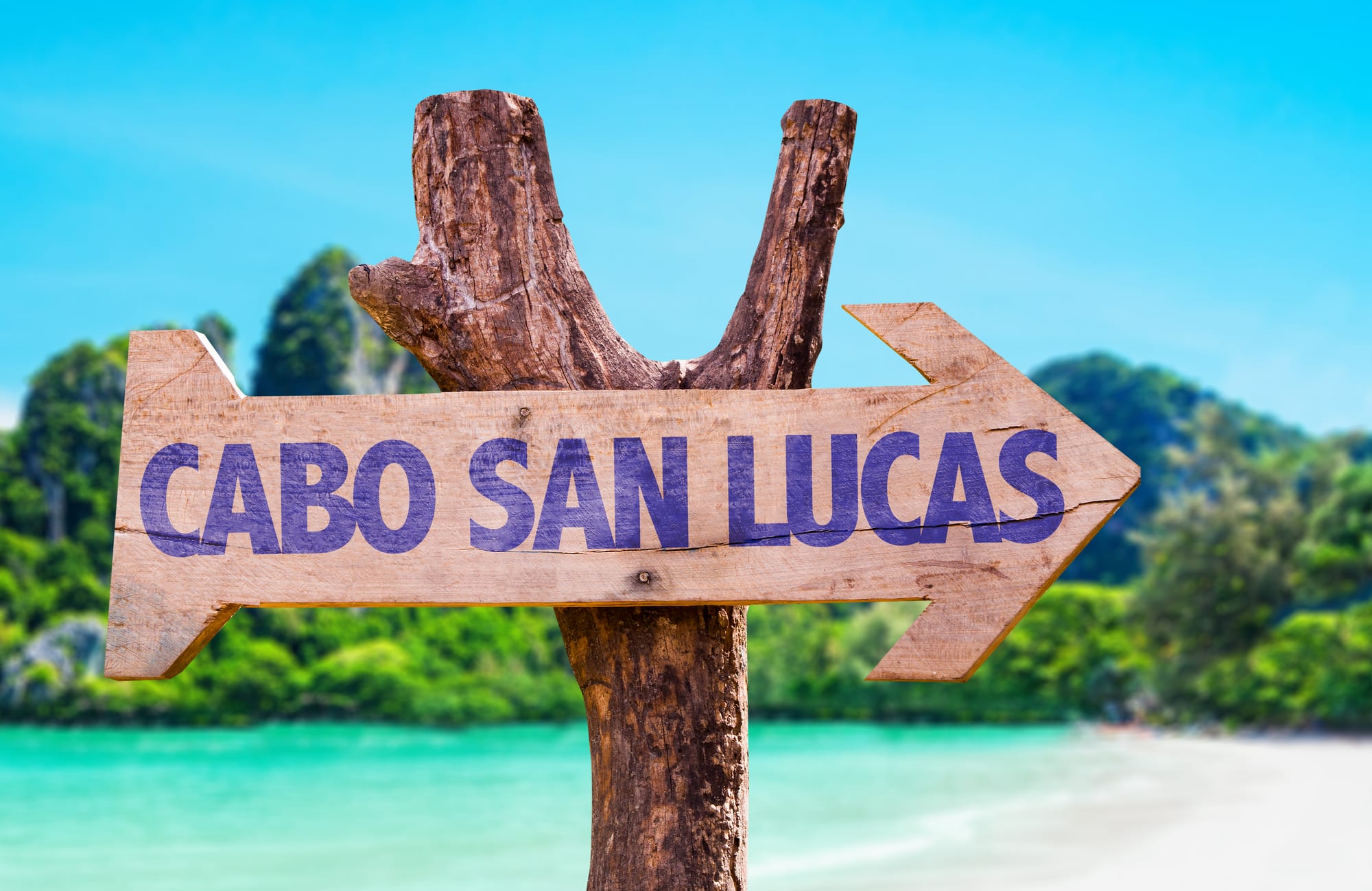 Cabo Spring Break