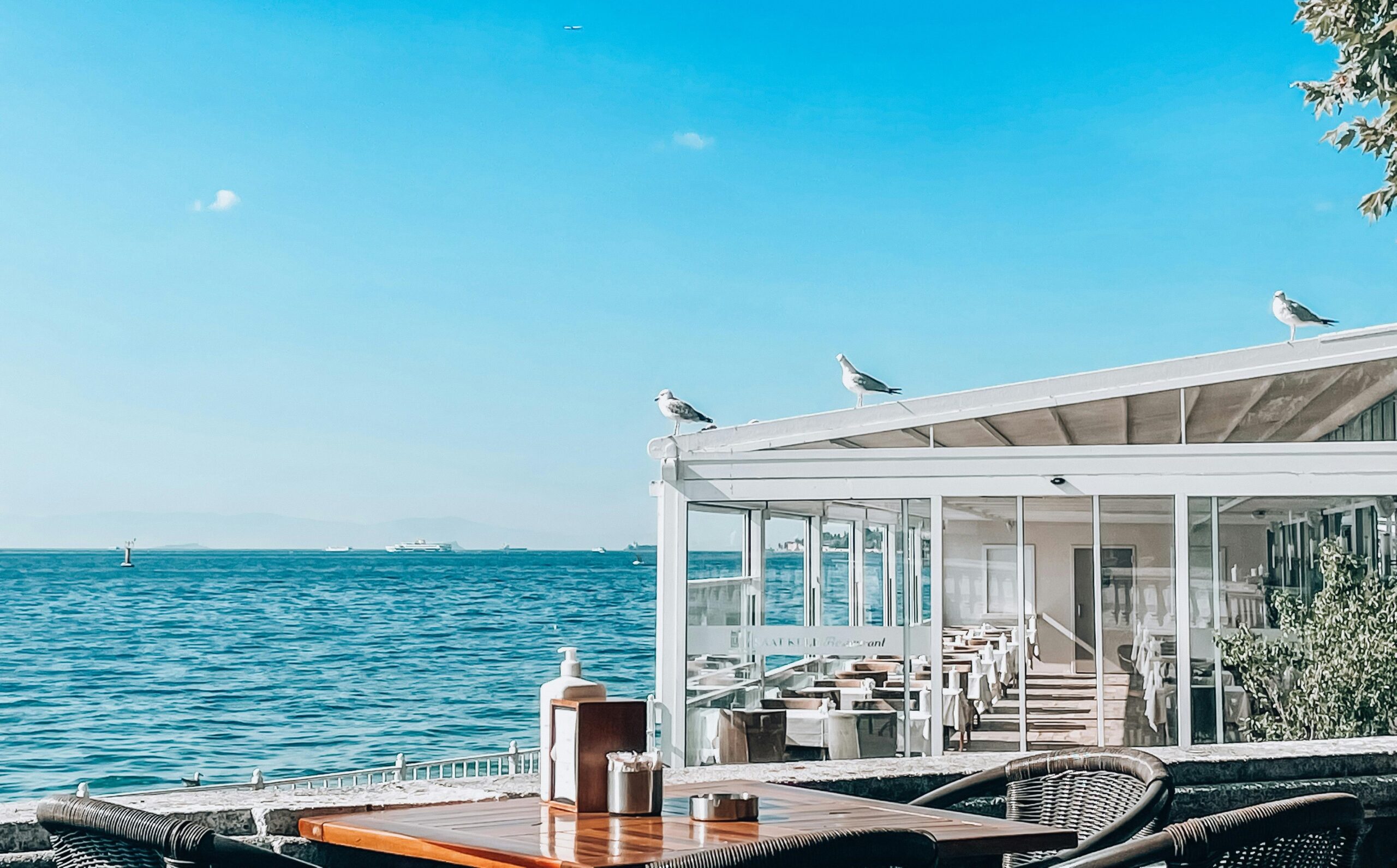 Foodie Spring Break : The Best Dining and Delights in Panama City Beach | StudentCity